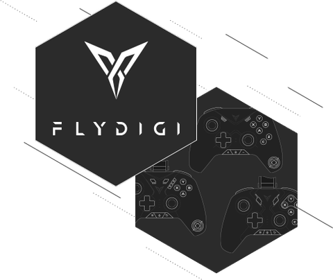 Flydigi controllers support: remap every button!